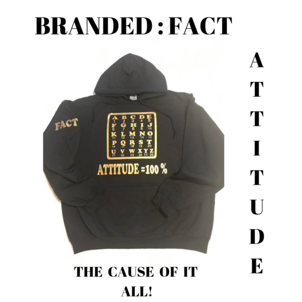 ATTITUDE